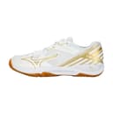 Mizuno WAVE SMASH CN Bulbul Abrasion Resistant Breathable Slip Resistant Low top Badminton Shoes Unisex White Gold